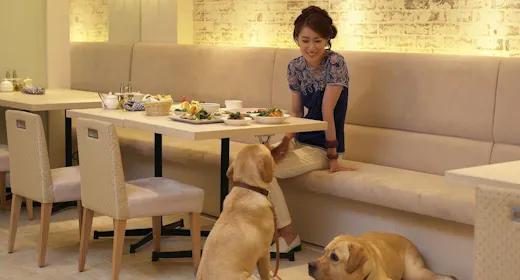 【スタンダードプラン/朝食ビュッフェ付き】すべての時間を愛犬と共有できるリゾートで最高のひと時を