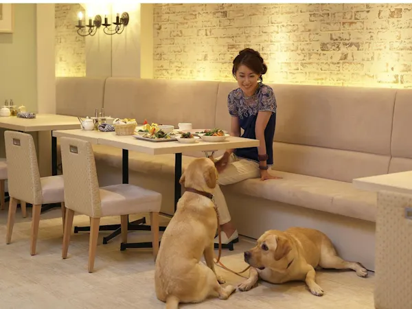 【スタンダードプラン/朝食ビュッフェ付き】すべての時間を愛犬と共有できるリゾートで最高のひと時を