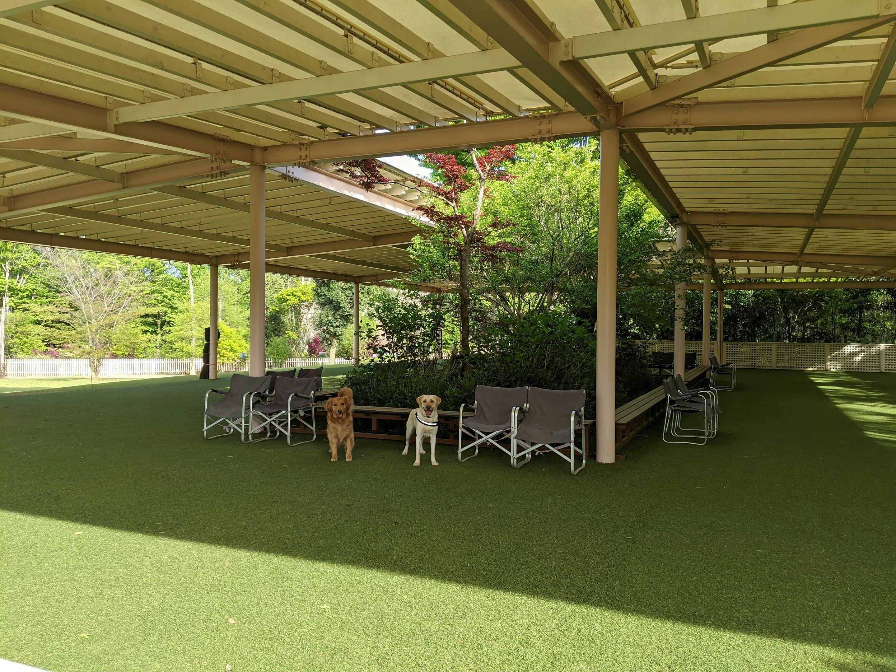 千葉 ペットと泊まれる宿 選 宿泊予約は 一休 Com