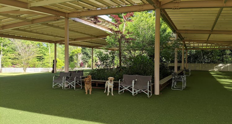 千葉 ペットと泊まれる宿 選 宿泊予約は 一休 Com 千葉 ペットと泊まれる宿 選 宿泊予約は 一休 Com