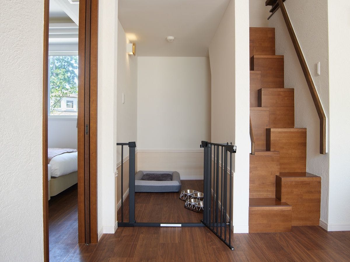 Koyaru no Sato Doggies Island