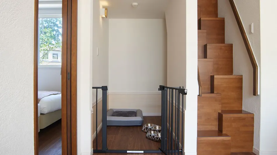 Koyaru no Sato Doggies Island