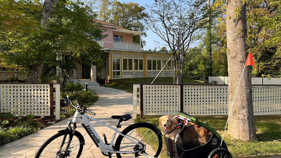 Koyaru no Sato Doggies Island