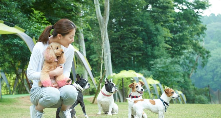 千葉 ペットと泊まれる宿 選 お得に宿泊予約 Yahoo トラベル 千葉 ペットと泊まれる宿 選 お得に宿泊予約 Yahoo トラベル