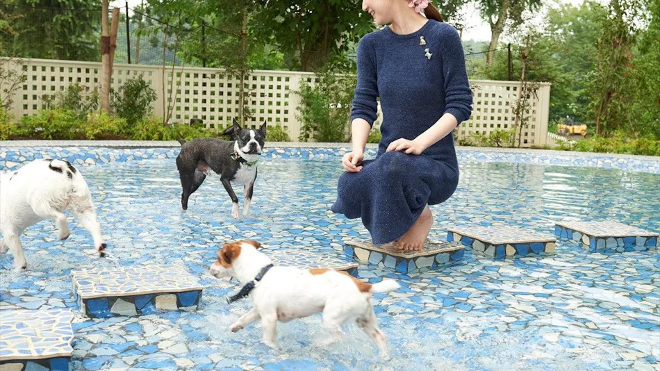 Koyaru no Sato Doggies Island