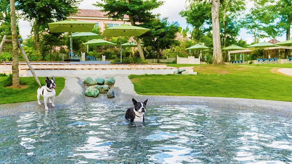 Koyaru no Sato Doggies Island