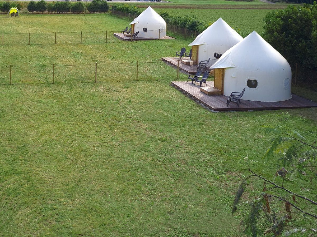 Koyaru no Sato Doggies Island