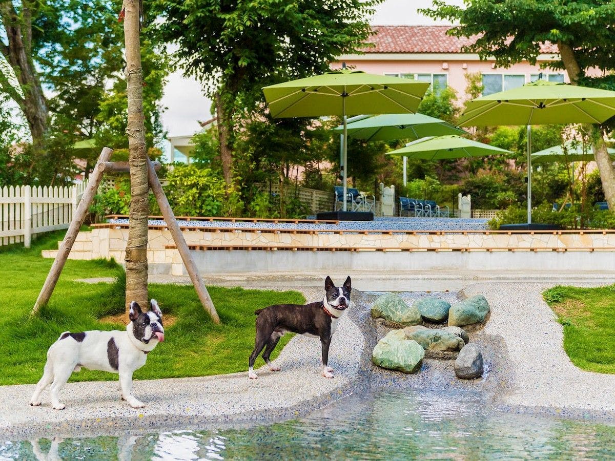 小谷流の里 ドギーズアイランド