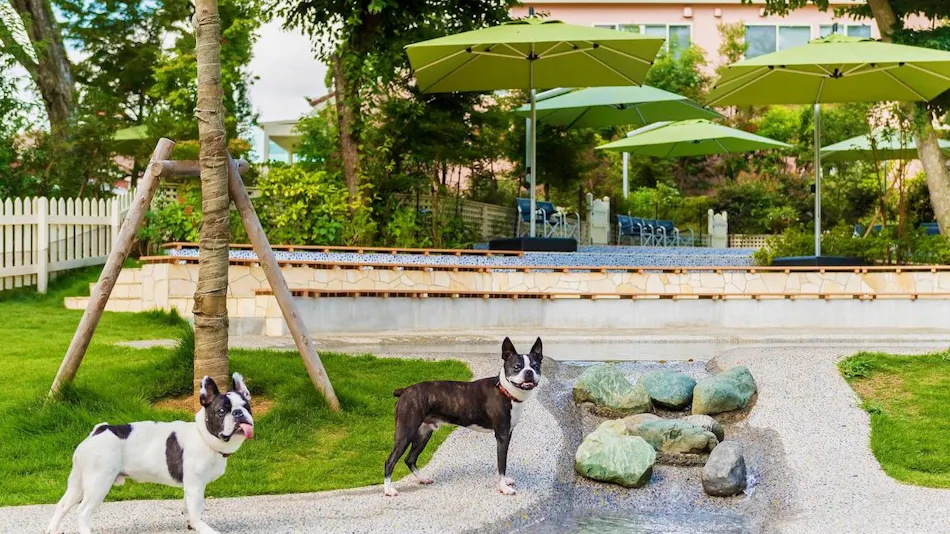 Koyaru no Sato Doggies Island