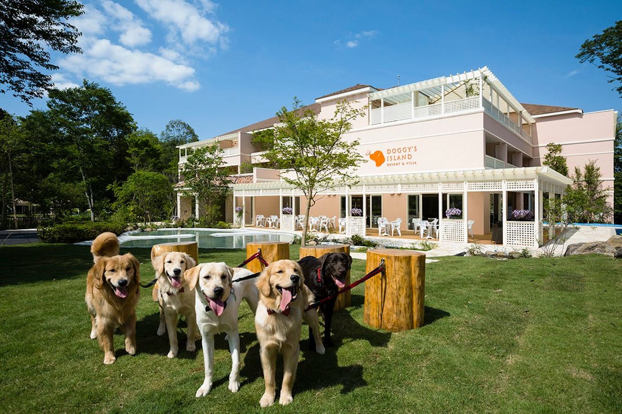 千葉のペット可で犬と泊まれるホテル コテージなど宿18選 Iisentaku 千葉のペット可で犬と泊まれるホテル コテージなど宿18選 Iisentaku