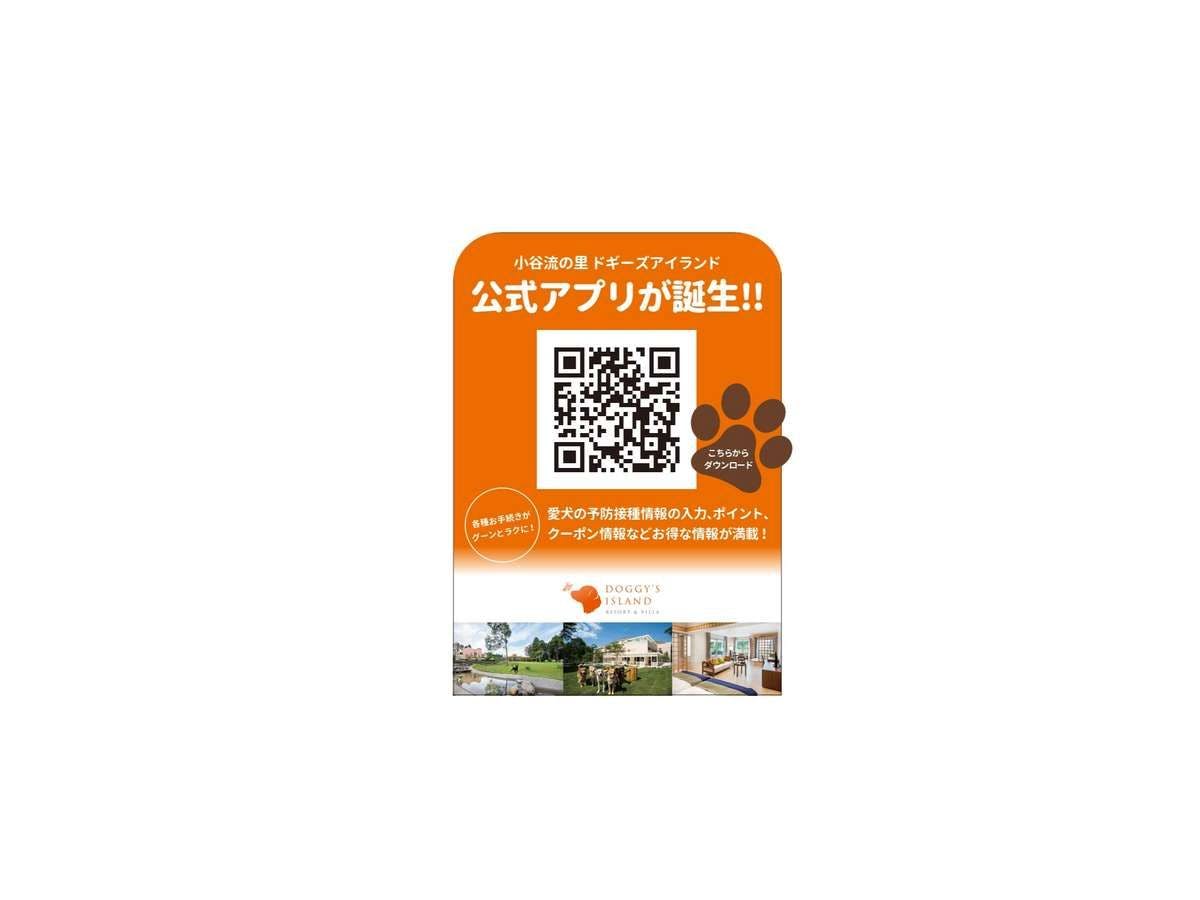 Aplikasi resmi Doggies Island telah diluncurkan!