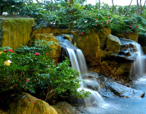 1階　日本料理「胡蝶」