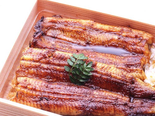 （和食料理イメージ）