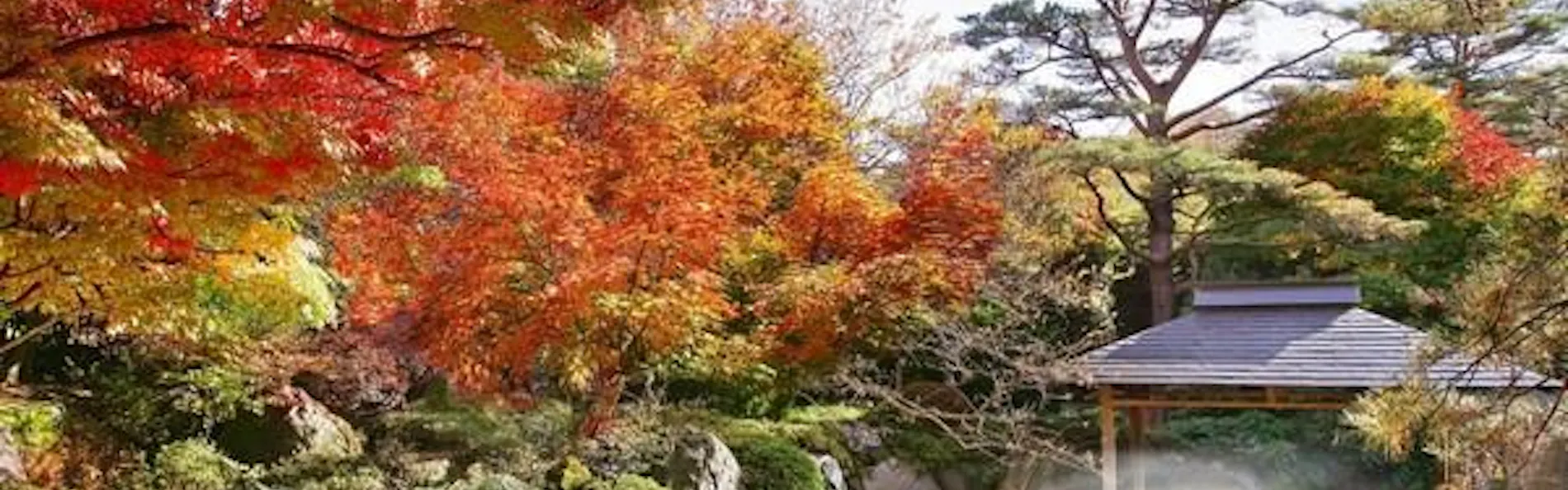 仙台 秋保温泉 篝火の湯 緑水亭