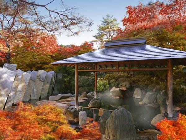 仙台 秋保温泉 篝火の湯 緑水亭