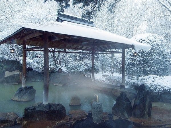 仙台 秋保温泉 篝火の湯 緑水亭
