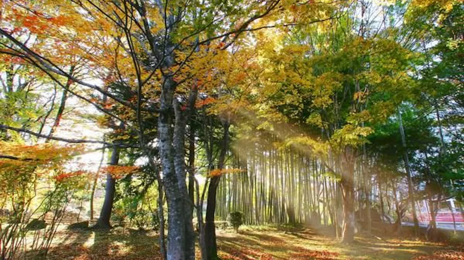 Sendai Akiu Onsen Kagabino-yu Ryokusuitei
