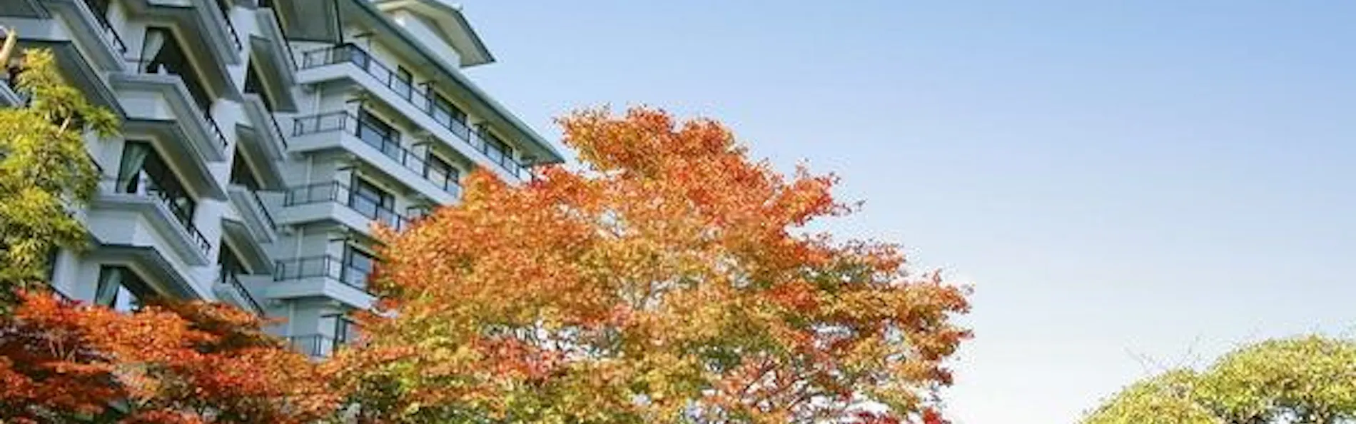 仙台 秋保温泉 篝火の湯 緑水亭
