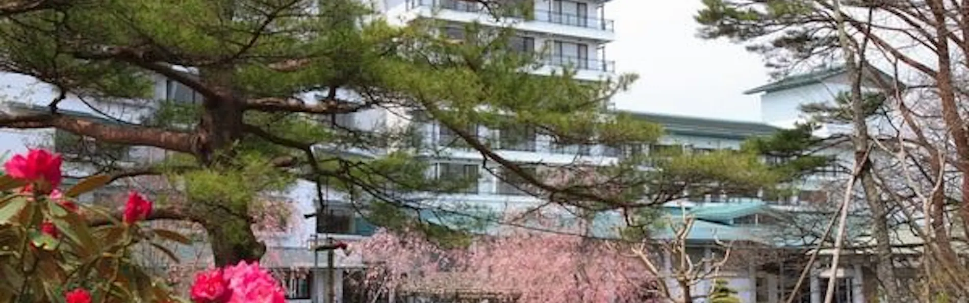 仙台 秋保温泉 篝火の湯 緑水亭