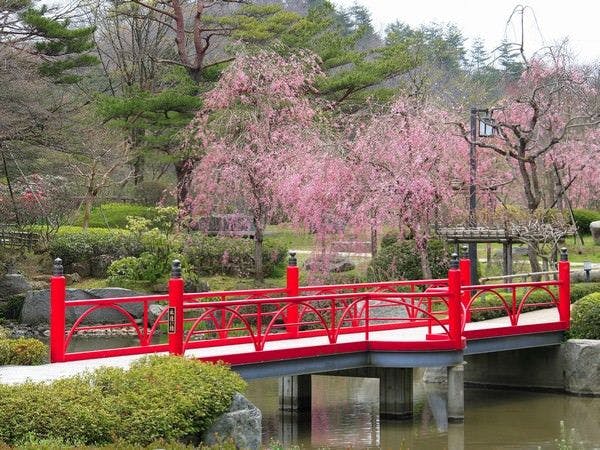 仙台 秋保温泉 篝火の湯 緑水亭