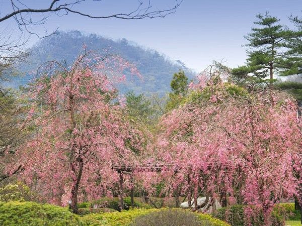 仙台 秋保温泉 篝火の湯 緑水亭
