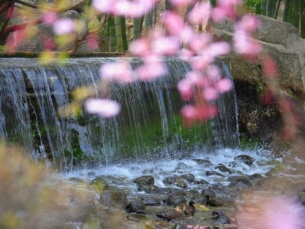 仙台 秋保温泉 篝火の湯 緑水亭