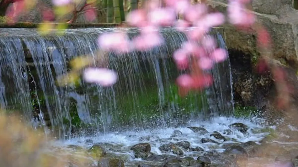 Sendai Akiu Onsen Kagabino-yu Ryokusuitei