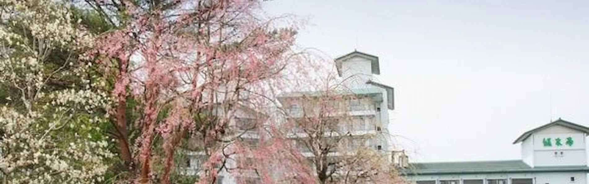 仙台 秋保温泉 篝火の湯 緑水亭