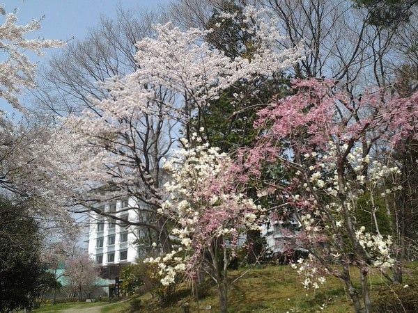 仙台 秋保温泉 篝火の湯 緑水亭