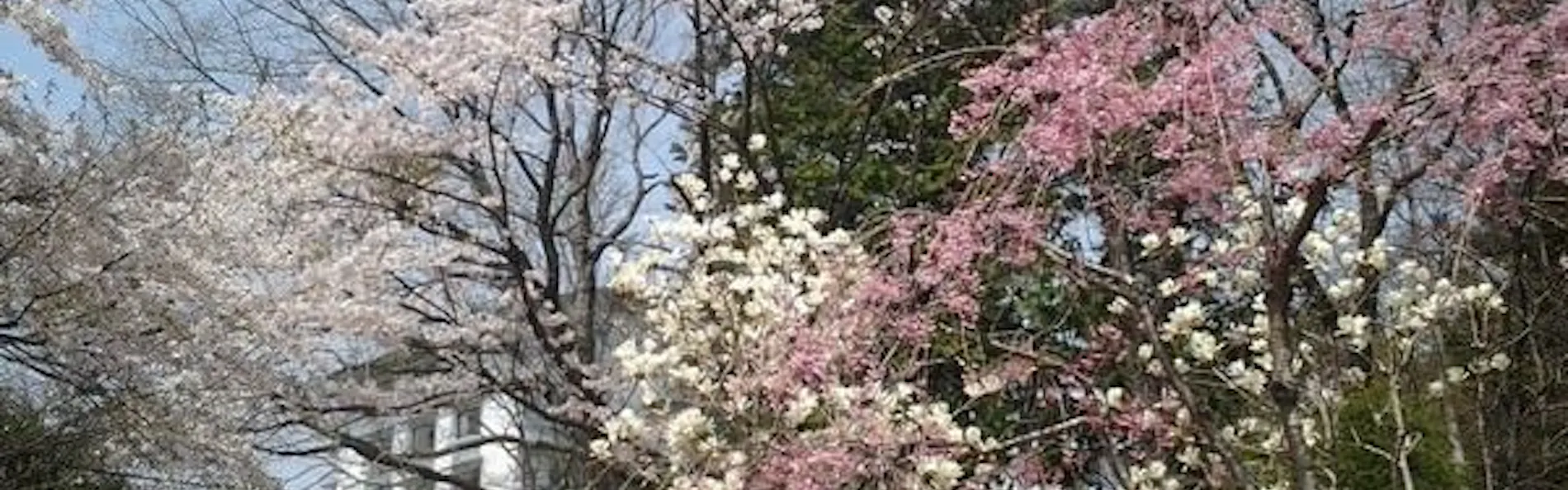 仙台 秋保温泉 篝火の湯 緑水亭