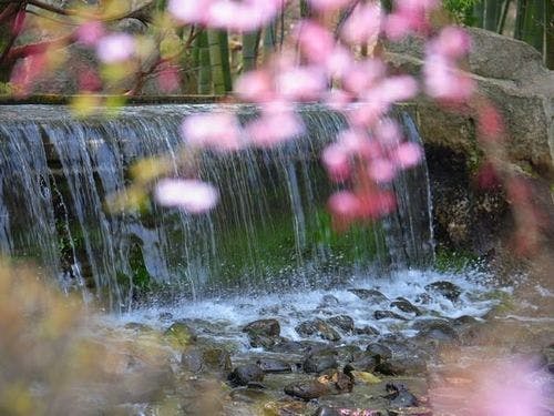 春の景観