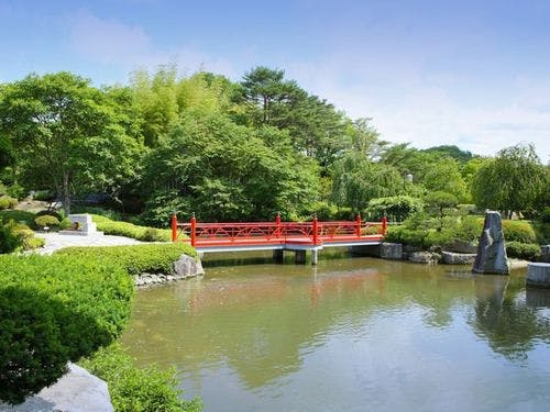 夏の景観