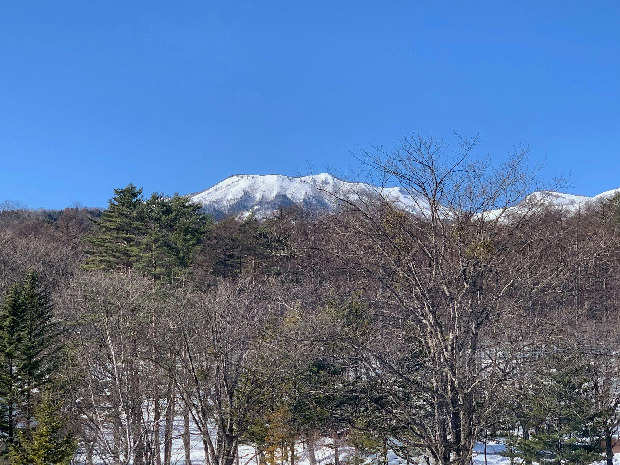 草津ナウリゾートホテル