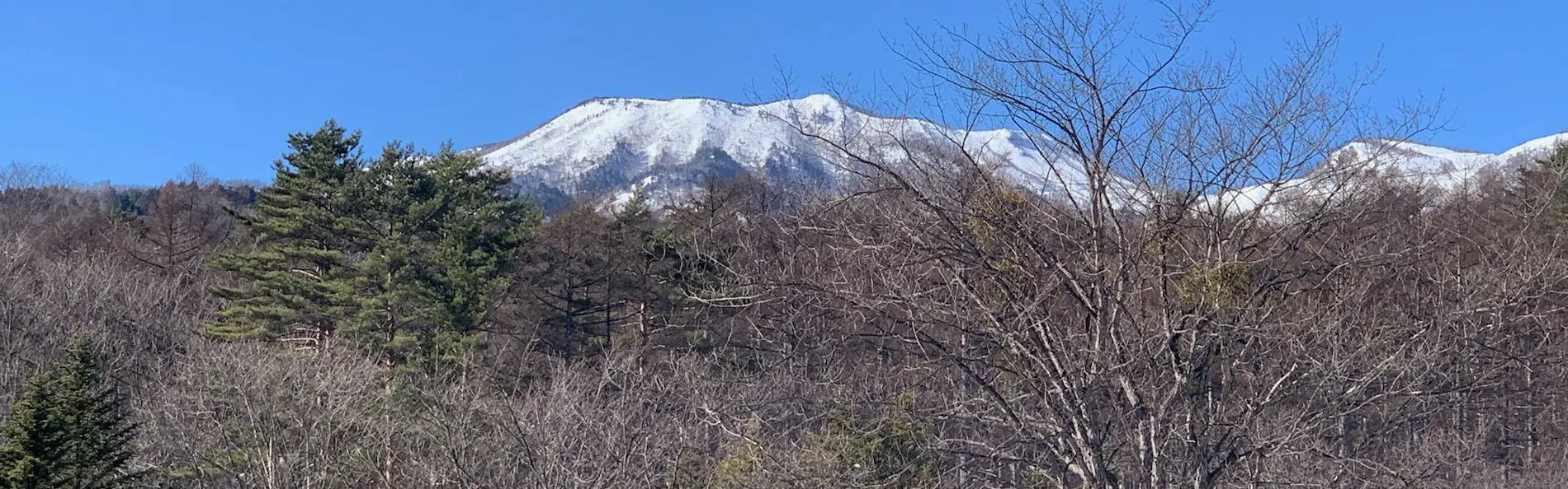 草津ナウリゾートホテル