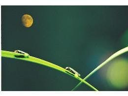 ホタル観賞へご案内いたします。