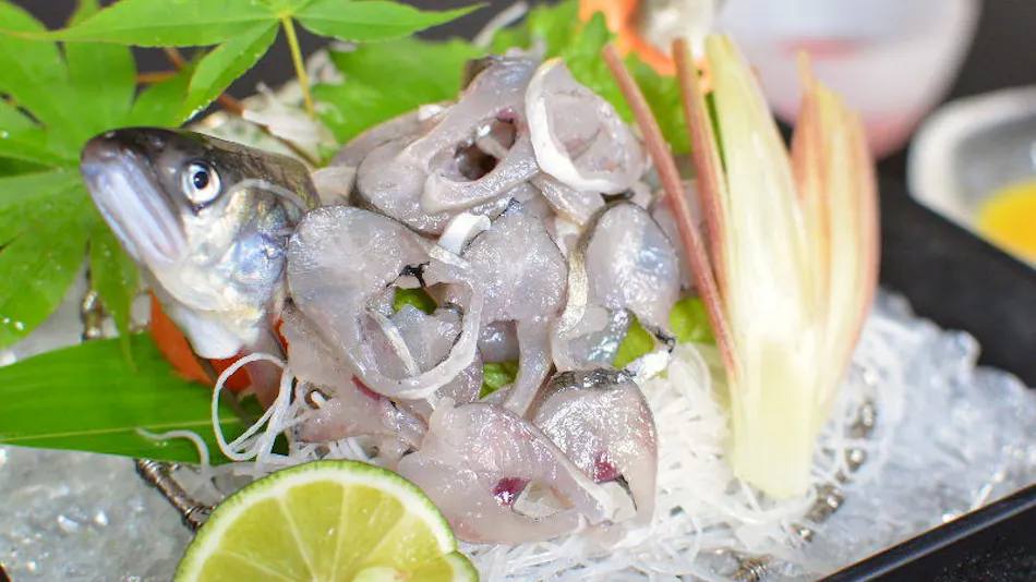 Kamimaki Onsen Tatsumikan