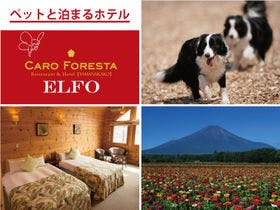 ペットと泊まる宿　CARO FORESTA ELFO&nbsp;施設全景