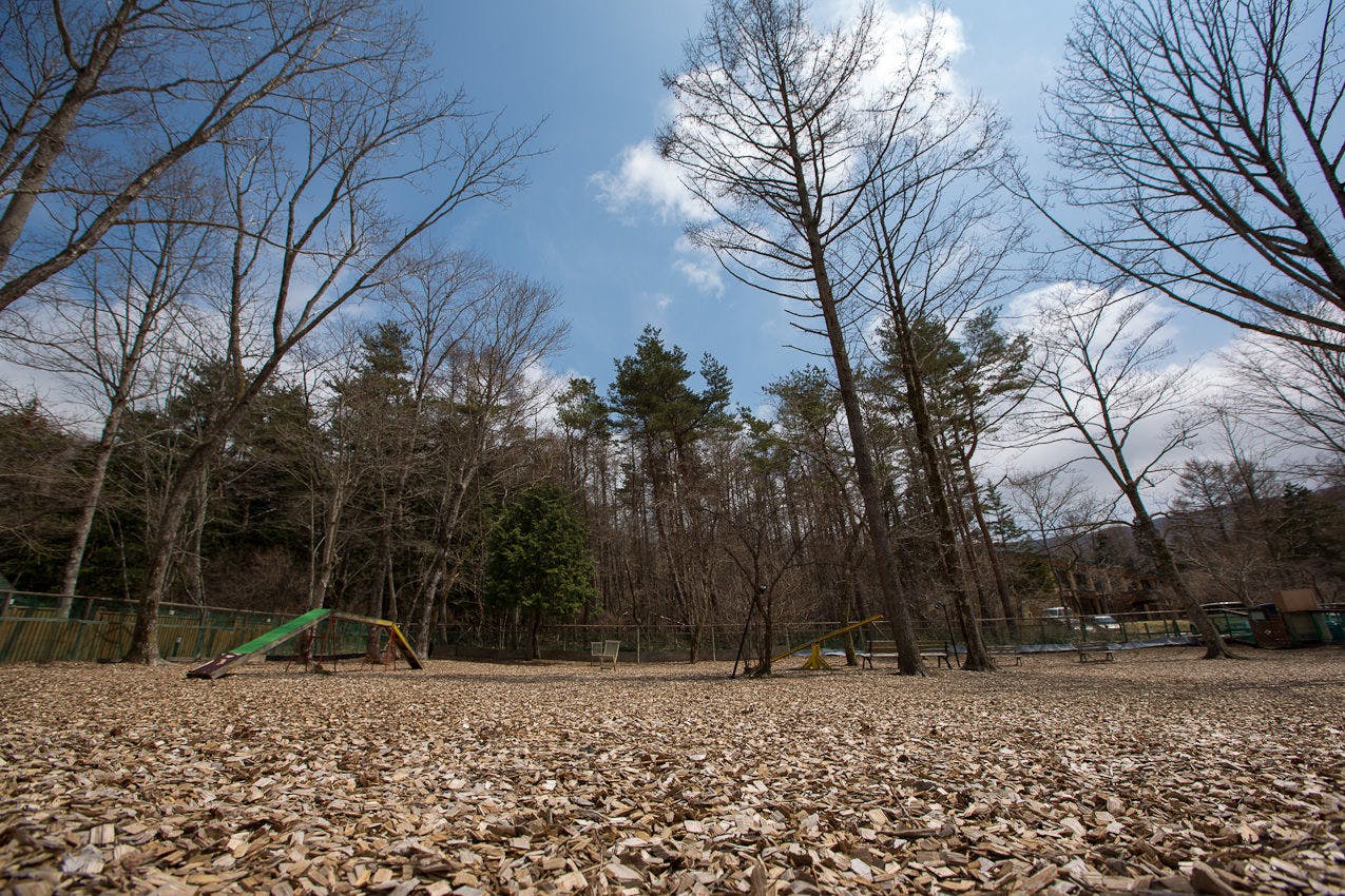 山中湖ドッグラン写真