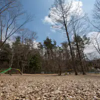 山中湖ドッグラン写真