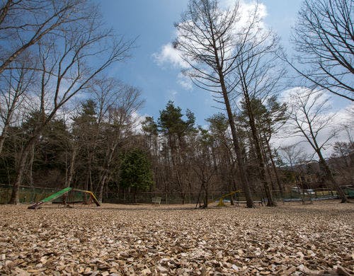 山中湖ドッグラン写真