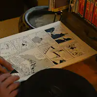 ห้องอาราเระ