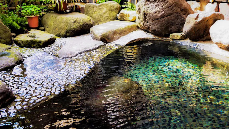 Aizu Higashiyama Onsen Irori no Yado Ashina