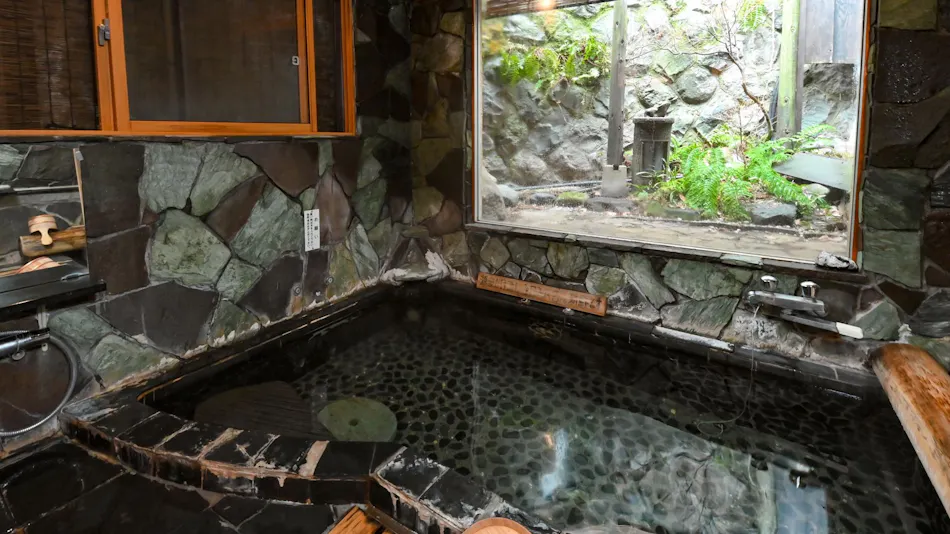 Aizu Higashiyama Onsen Irori no Yado Ashina