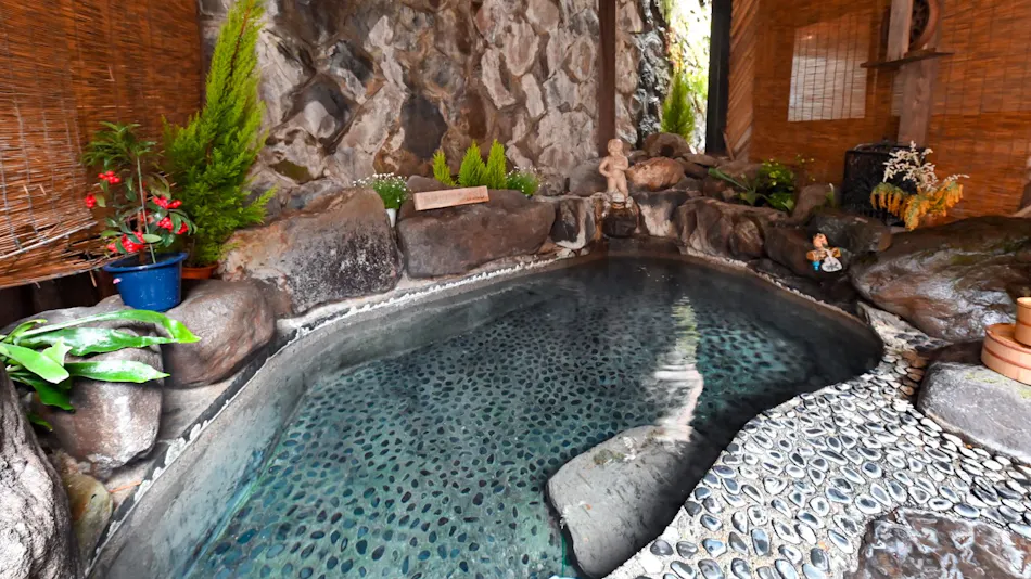 Aizu Higashiyama Onsen Irori no Yado Ashina