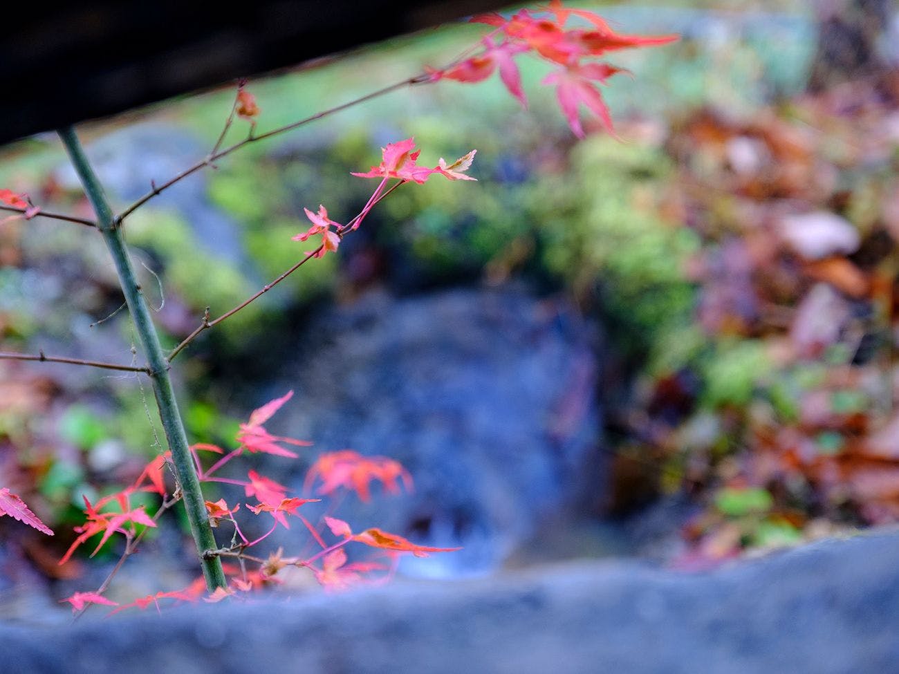 風のテラス　古天神