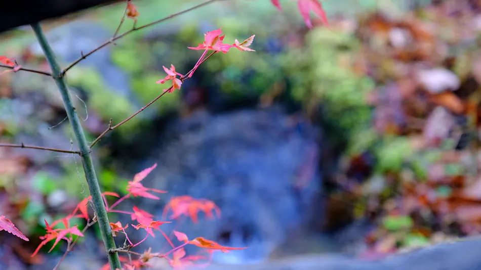 Kaze no Terrace Kotenjin