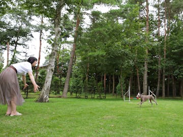 ペットと泊まれる宿 をランキング形式でご紹介 一休 Com ペットと泊まれる宿 をランキング形式でご紹介 一休 Com