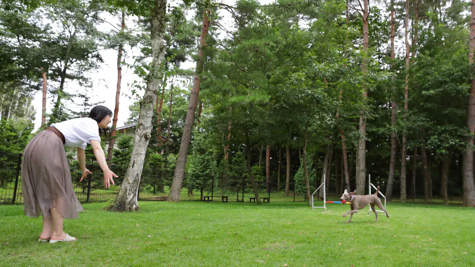 Regina Resort Karuizawa Mikage Yosui
