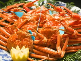 金沢湯涌温泉 百楽荘 