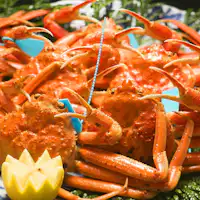 เพลิดเพลินกับปูคาโน 3 ตัว